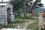 IMG_6796